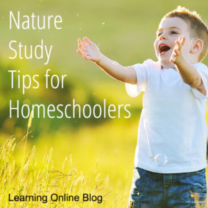 Boy playing outside - Nature Study Tips for Homeschoolers