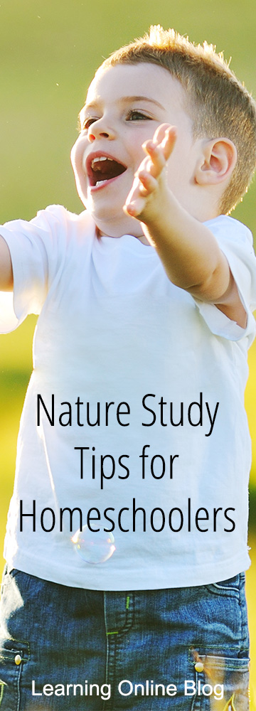 Boy playing outside - Nature Study Tips for Homeschoolers