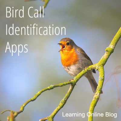 Bird Call Identification Apps