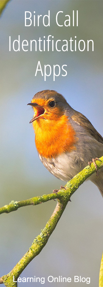 Bird singing - Bird Call Identification Apps