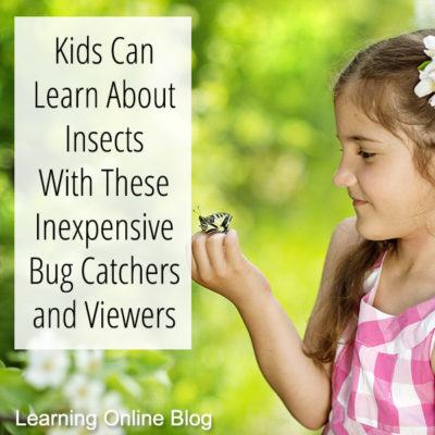 Kids Can Learn About Insects With These Inexpensive Bug Catchers and Viewers
