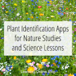 Plant Identification Apps for Nature Studies and Science Lessons