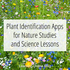 Wildflowers - Plant Identification Apps for Nature Studies and Science Lessons