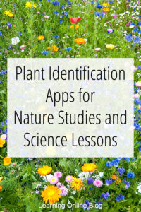 Wildflowers - Plant Identification Apps for Nature Studies and Science Lessons