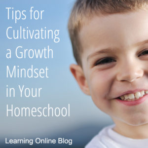 Smiling boy - Tips for Cultivating a Growth Mindset in Your Homeschool