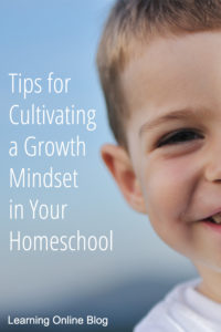 Smiling boy - Tips for Cultivating a Growth Mindset in Your Homeschool