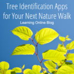 Tree Identification Apps for Your Next Nature Walk