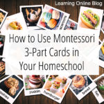 How to Use Montessori 3-Part Cards in Your Homeschool