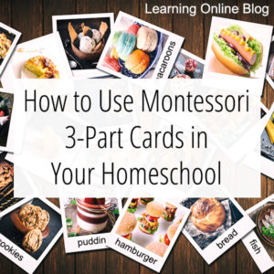 Photos with labels - How to Use Montessori 3-Part Cards in Your Homeschool