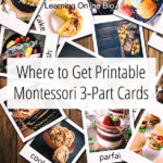 Where to Get Printable Montessori 3-Part Cards