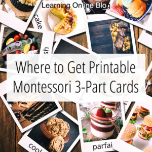 Pictures of food - Where to Get Printable Montessori 3-Part Cards