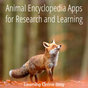 Fox looking up - Animal Encyclopedia Apps for Research and Learning
