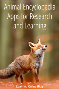 Fox looking up - Animal Encyclopedia Apps for Research and Learning