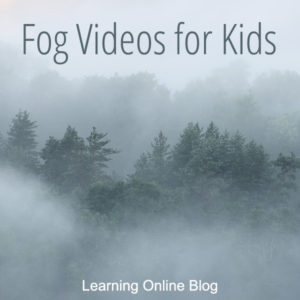 Fog in the woods - Fog Videos for Kids