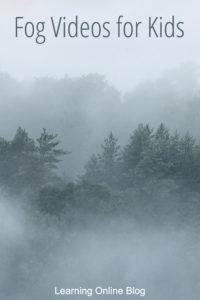Fog in the woods - Fog Videos for Kids