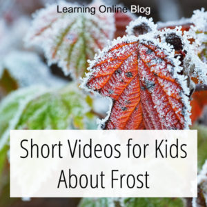 Leaves with frost - Short Videos for Kids About Frost