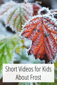 Leaves with frost - Short Videos for Kids About Frost