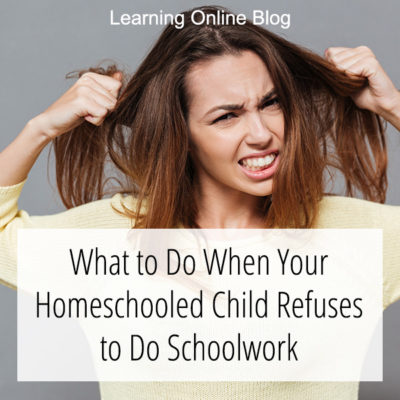 What to Do When Your Homeschooled Child Refuses to Do Schoolwork