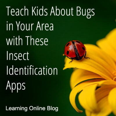 Teach Kids About Bugs in Your Area with These Insect Identification Apps