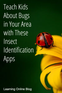 Teach Kids About Bugs in Your Area with These Insect Identification Apps