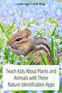 Teach Kids About Plants and Animals with These Nature Identification Apps